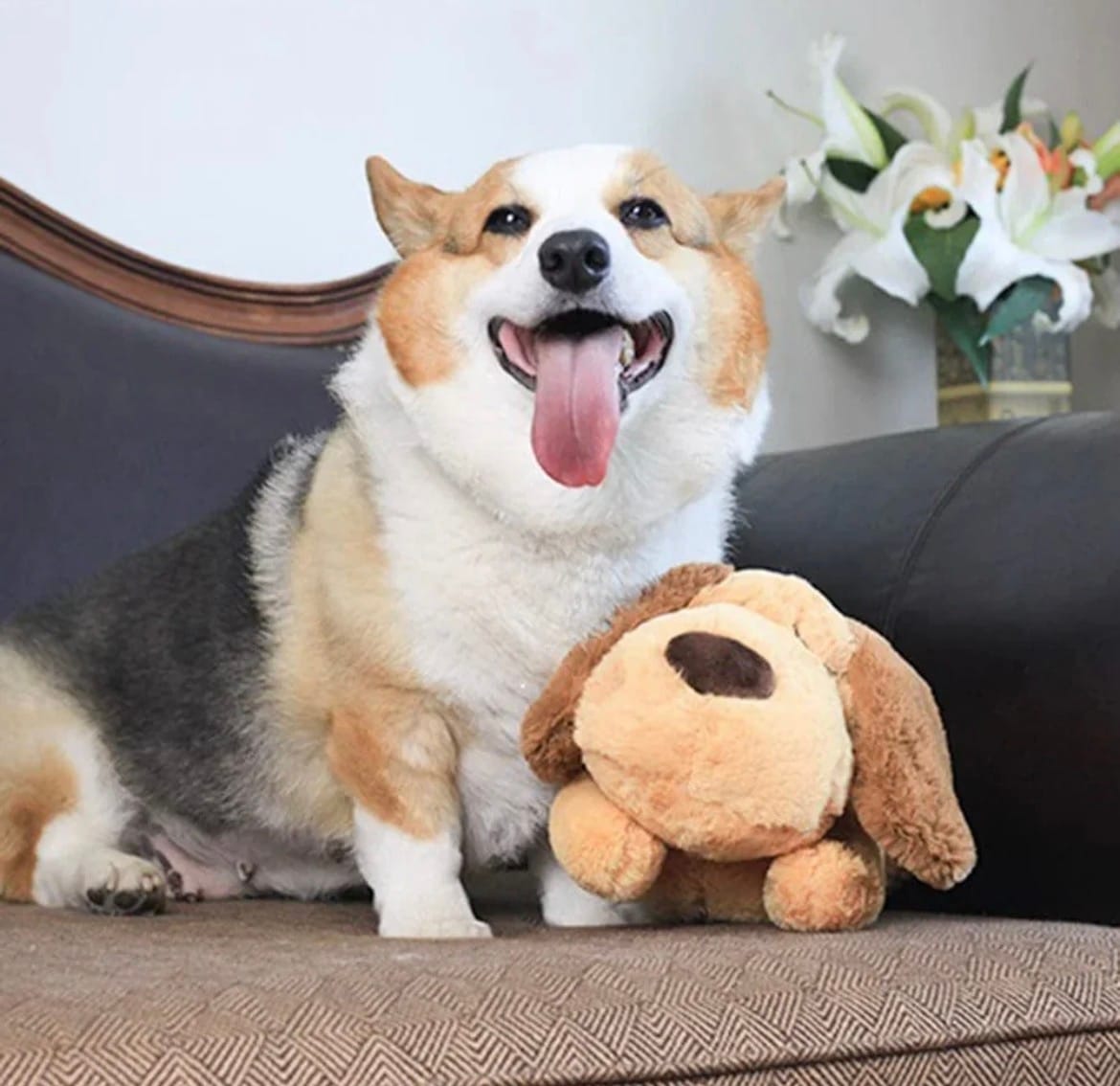 Customer photo review of Abbracciotto™ – Peluche Anti Ansia per Cani e Gatti