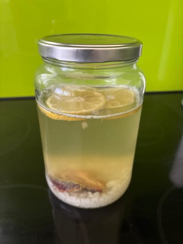 Customer's Konservenglas mit einem hausgemachten fermentierten Getränk, Zitronenscheiben und Zutaten am Boden.