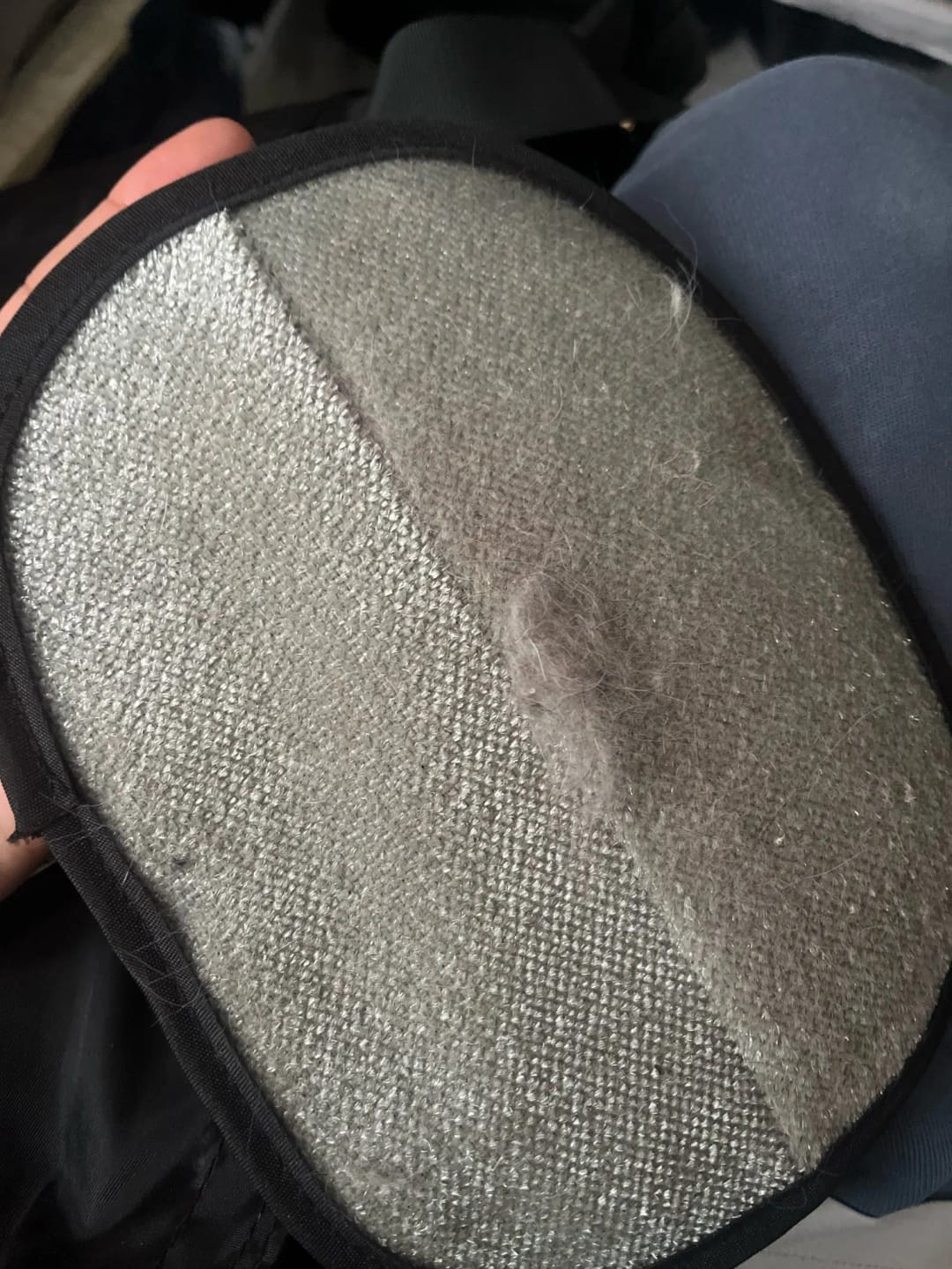 Customer photo review of Pet Hair Removal Glove