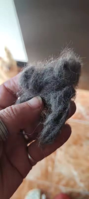 Customer photo review of Pet Hair Removal Glove