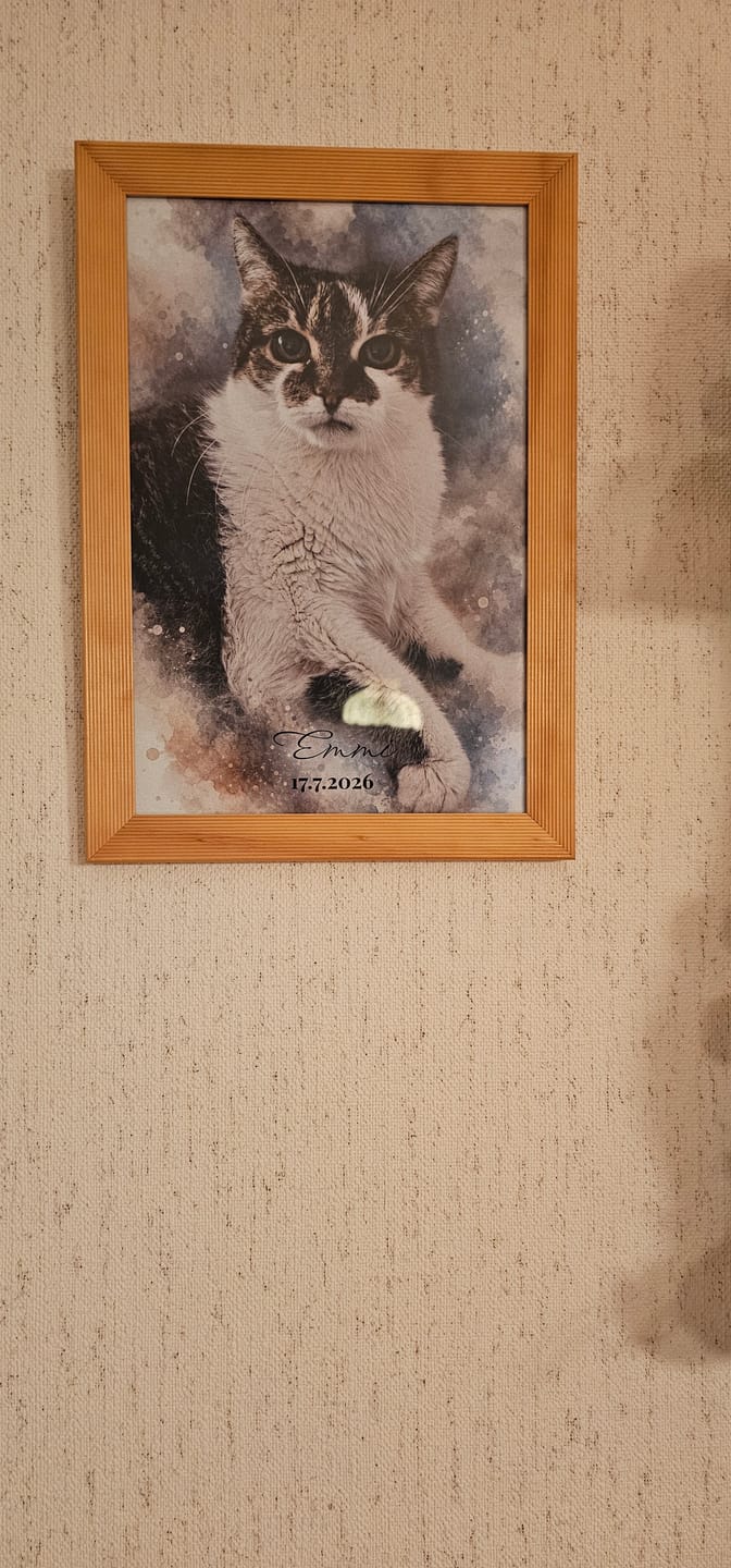 Customer photo review of Dein Haustier als Kunstwerk – mit Live-Vorschau, als Poster oder Leinwand