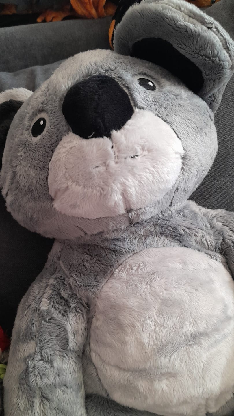 Customer photo review of Mini & Grote Koala- Je bespaart €20