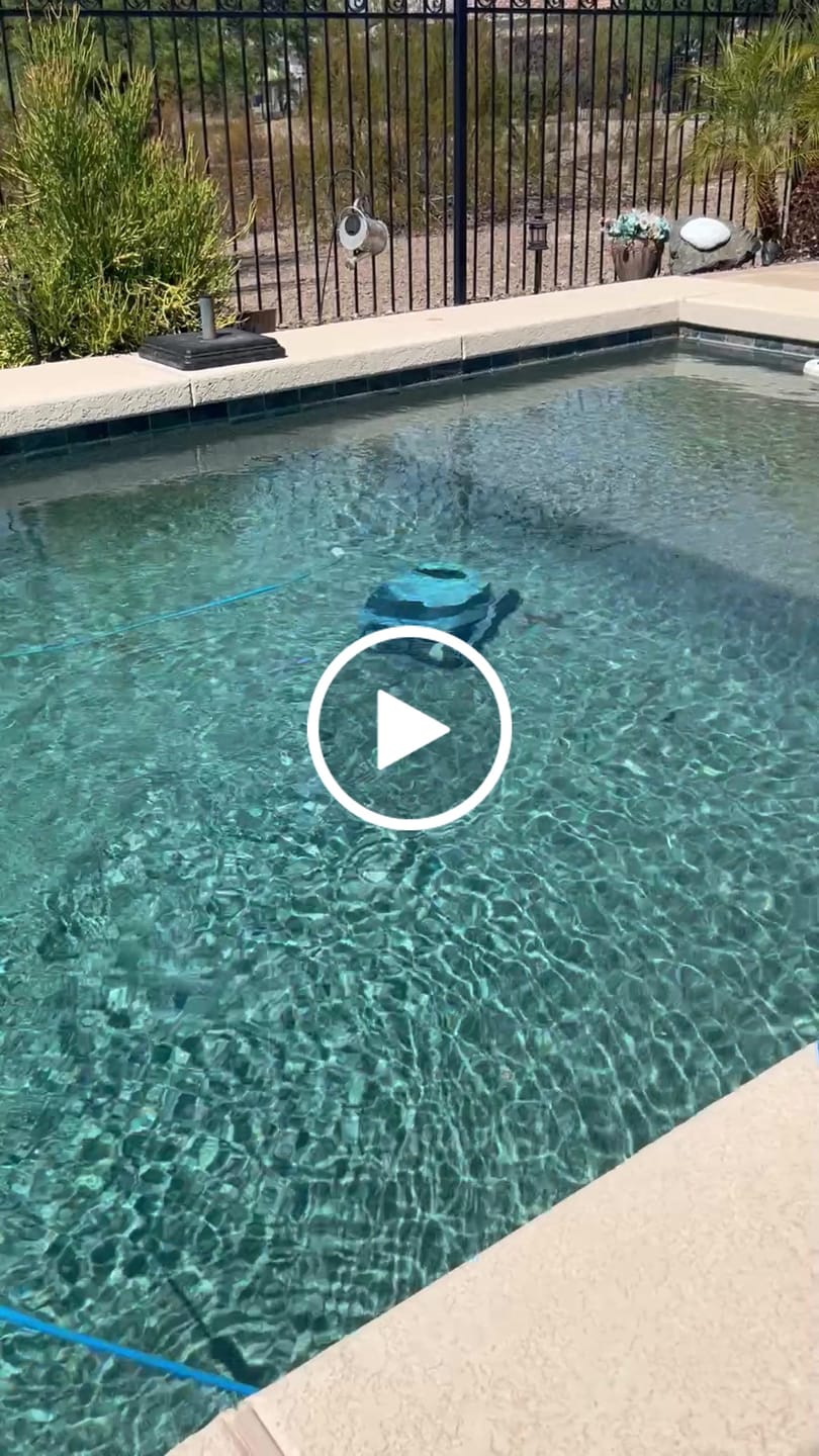 Customer video review of Dolphin S2000 Corded Robotic Pool Vacuum Maytronics