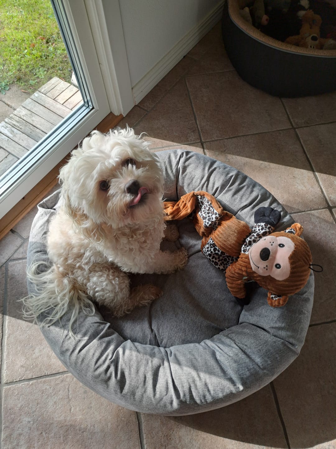 Customer photo review of CalmBed - Pälsfritt Överdrag
