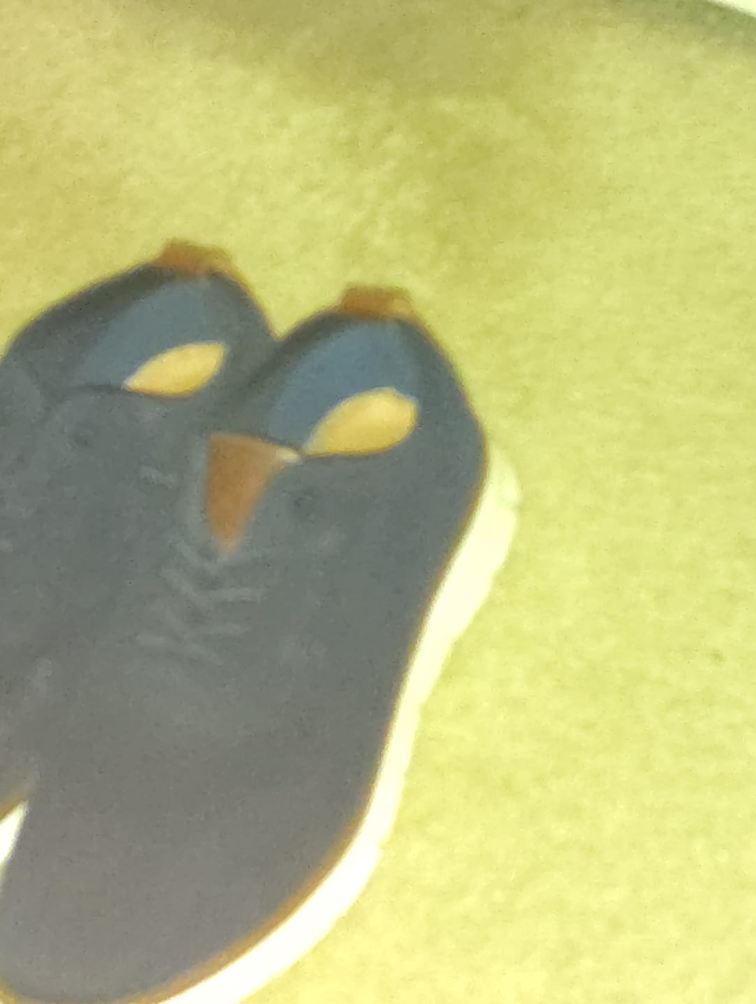 Customer photo review of Ultra Comfy - Healthy and Supportive Walking Shoes