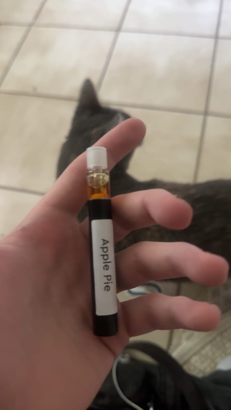 Customer photo review of Apple Pie - 500mg Disposable