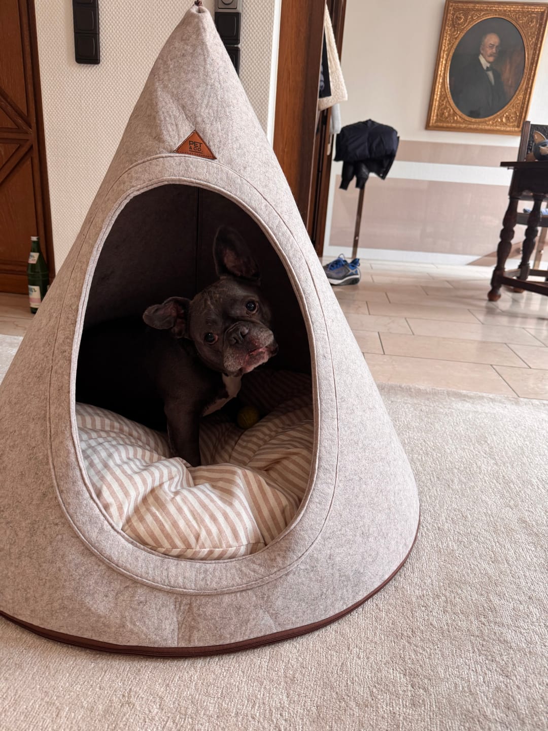 Customer photo review of Tonto - Luxury Dog Tipi