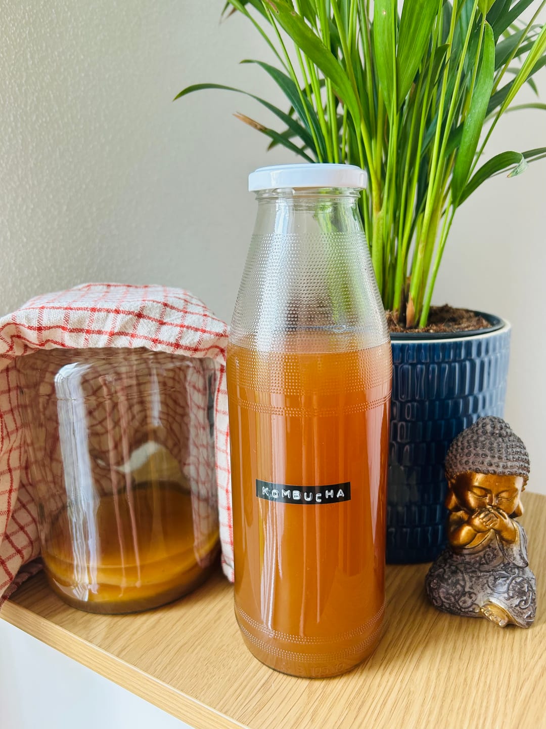 Customer photo review of Kombucha Starter-Set komplett Bio