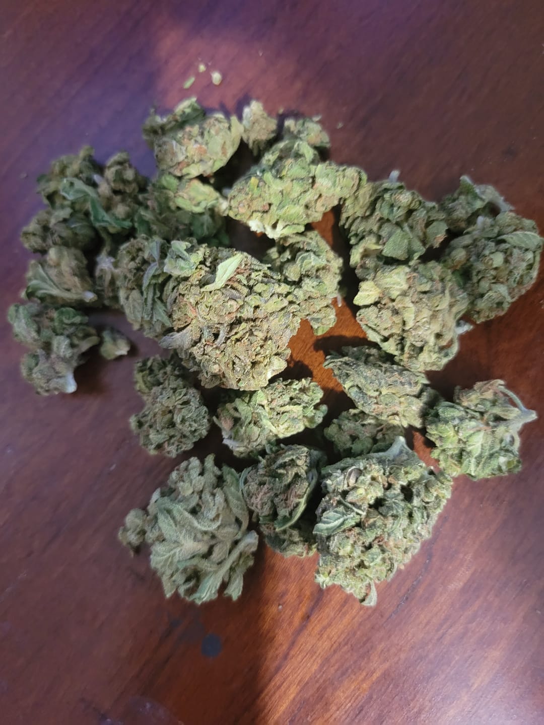 Customer photo review of Gelato Kush - Bulk - Indica