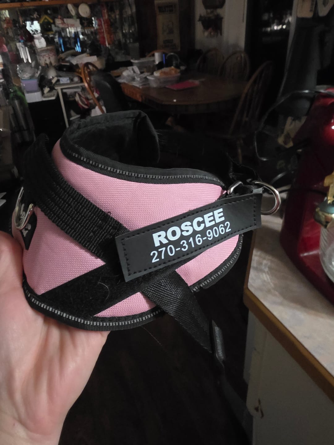 Customer photo review of Dogshood ™ Easy On