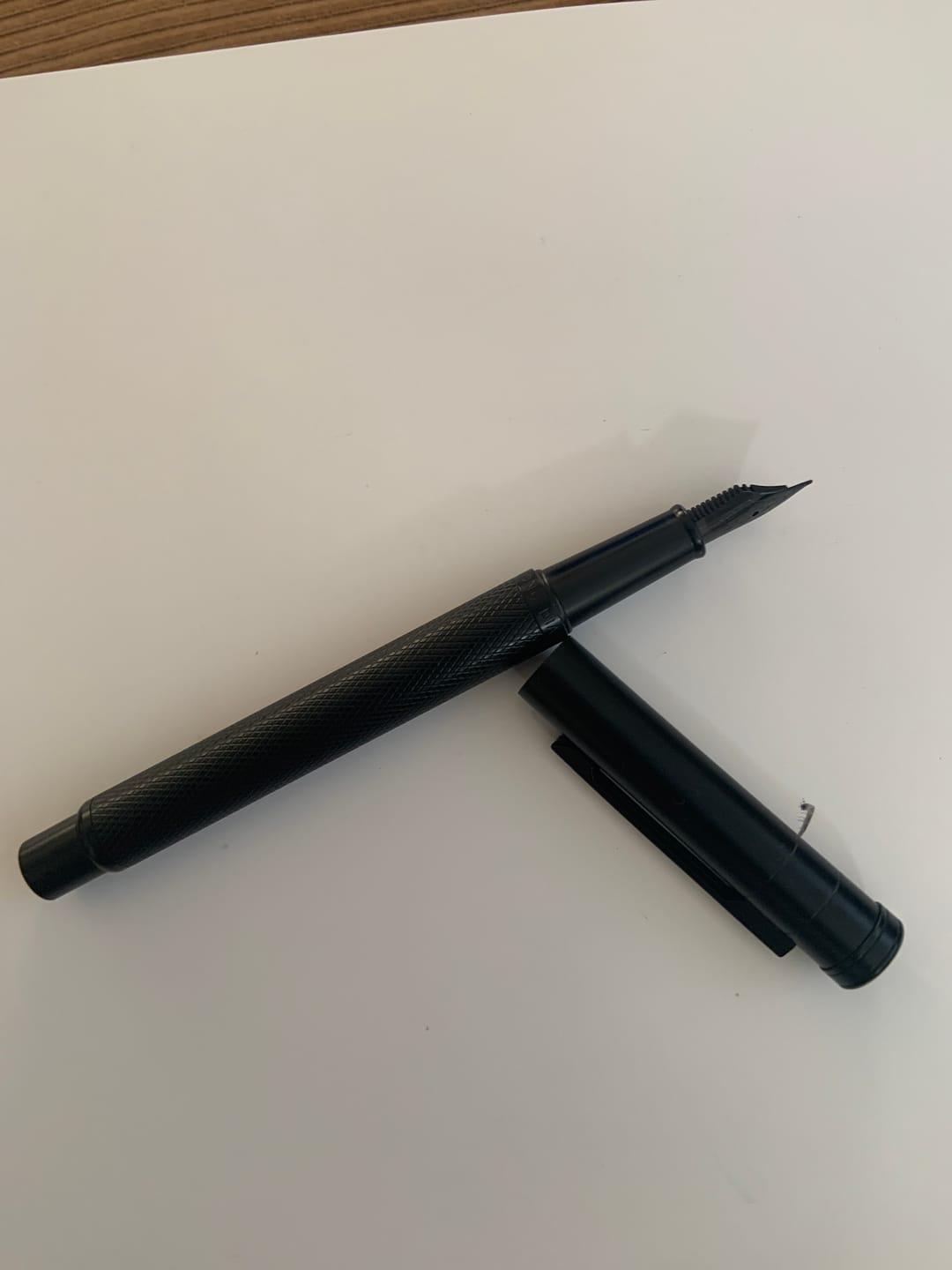 Customer photo review of Black Forest Titanium Fountain Pen