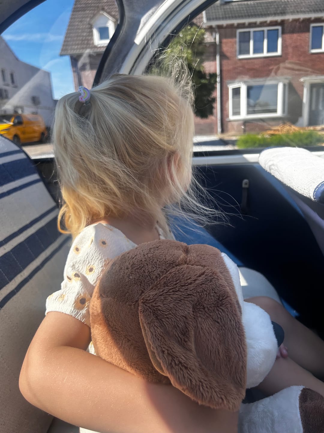 Customer photo review of Lotgenootje Hond 2kg