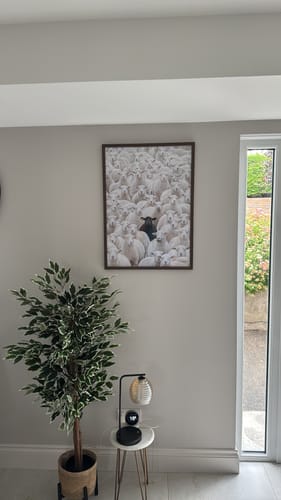 Customer's The Black Sheep art print framed and hanging on a wall next to a houseplant