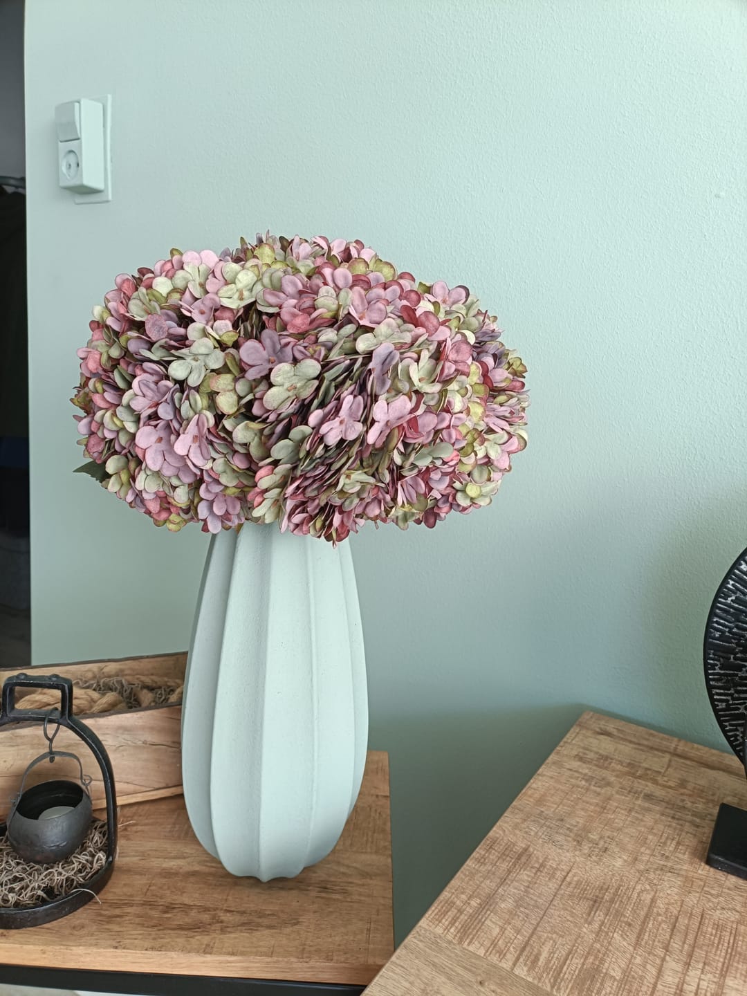 Customer photo review of Grote Zijden Hortensia - Paars