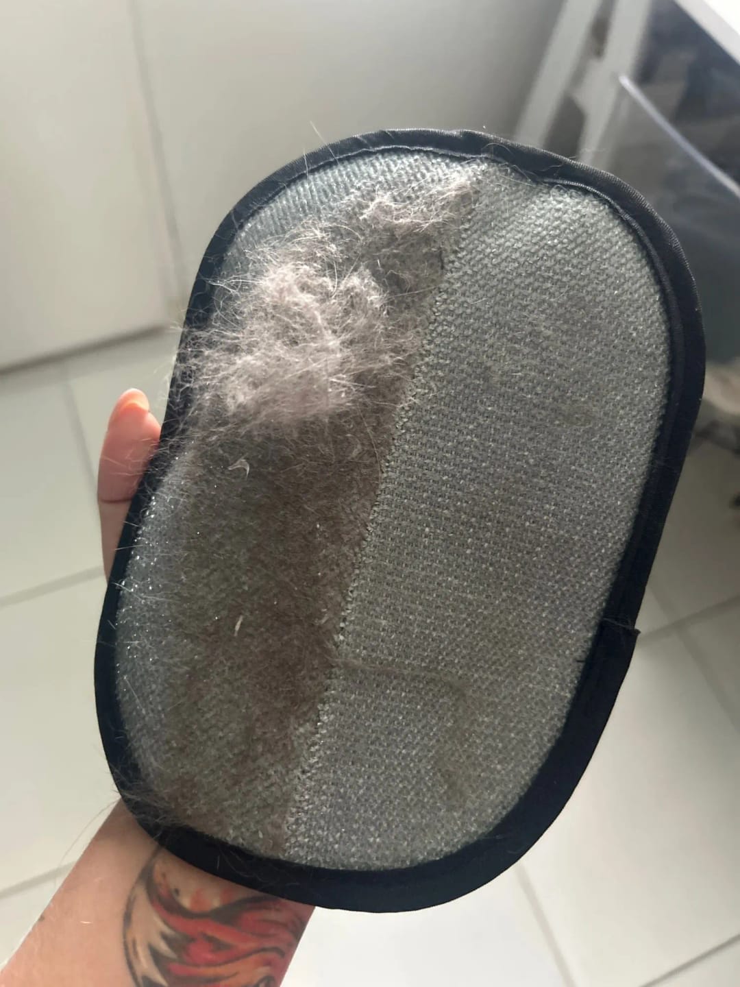 Customer photo review of Pet Hair Removal Glove