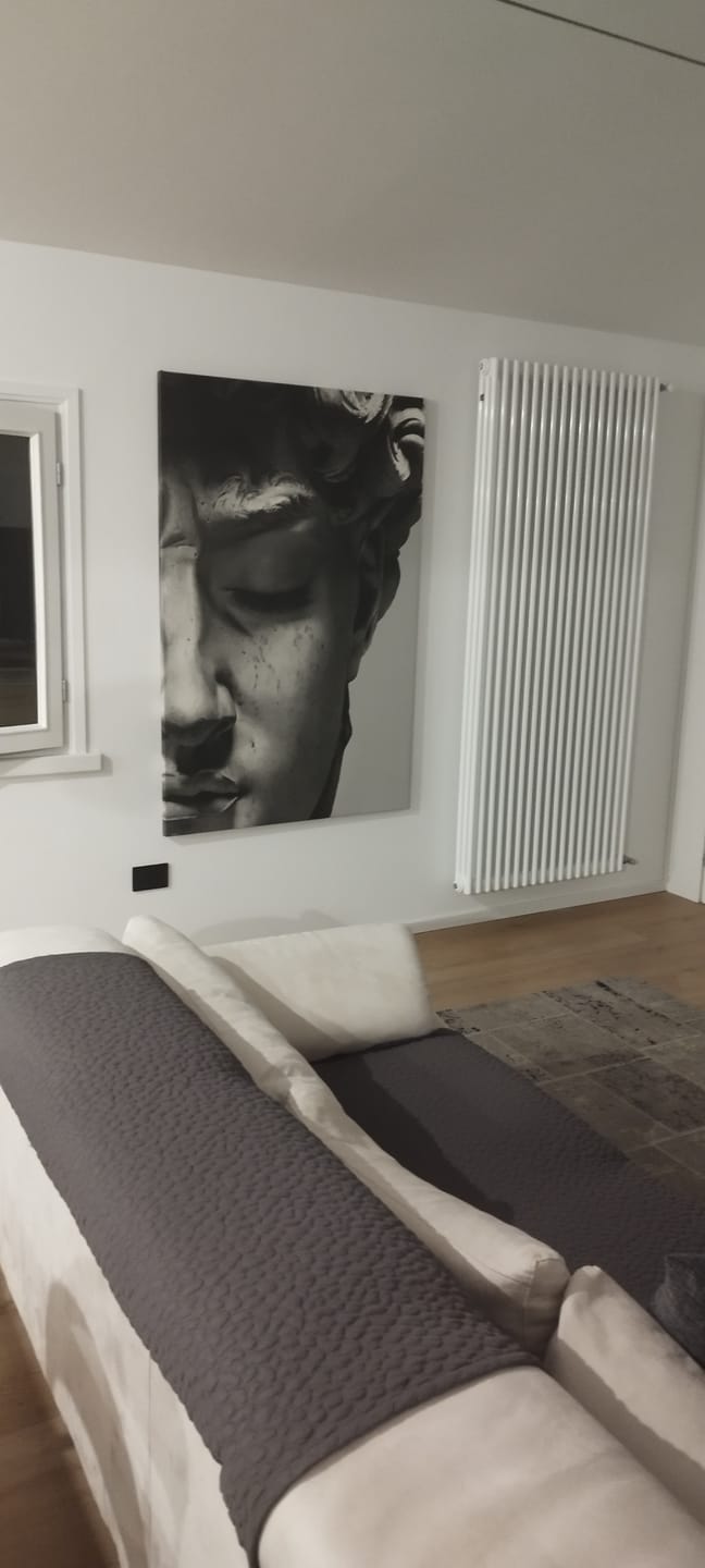 Customer photo review of Volto David Di Michelangelo