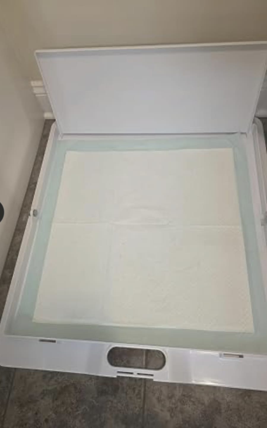 Customer photo review of Pee PAWD® Pee Pad holder