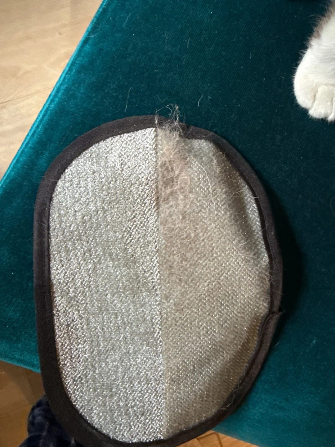 Customer photo review of Pet Hair Removal Glove
