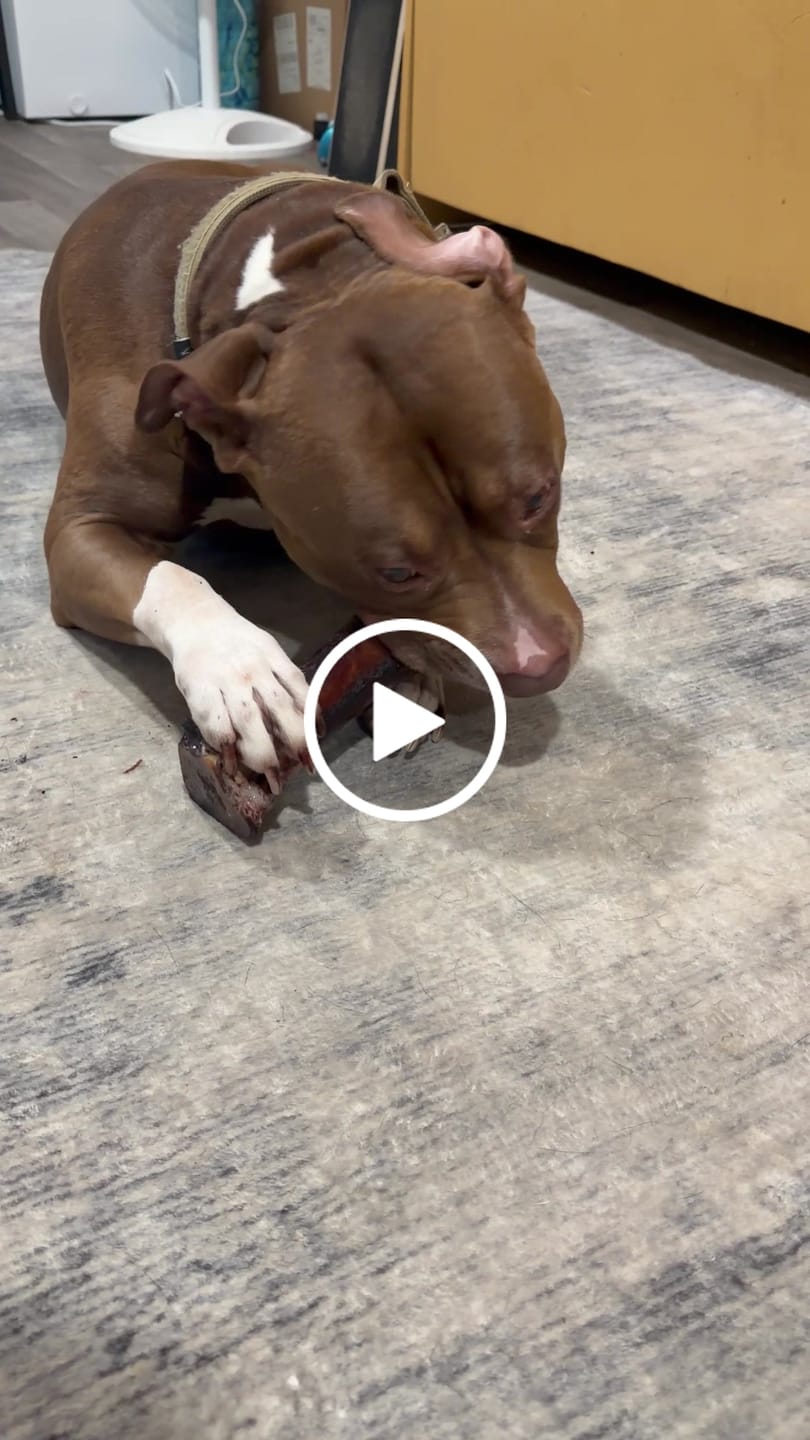 Customer video review of Smoked Beef Marrow Bones