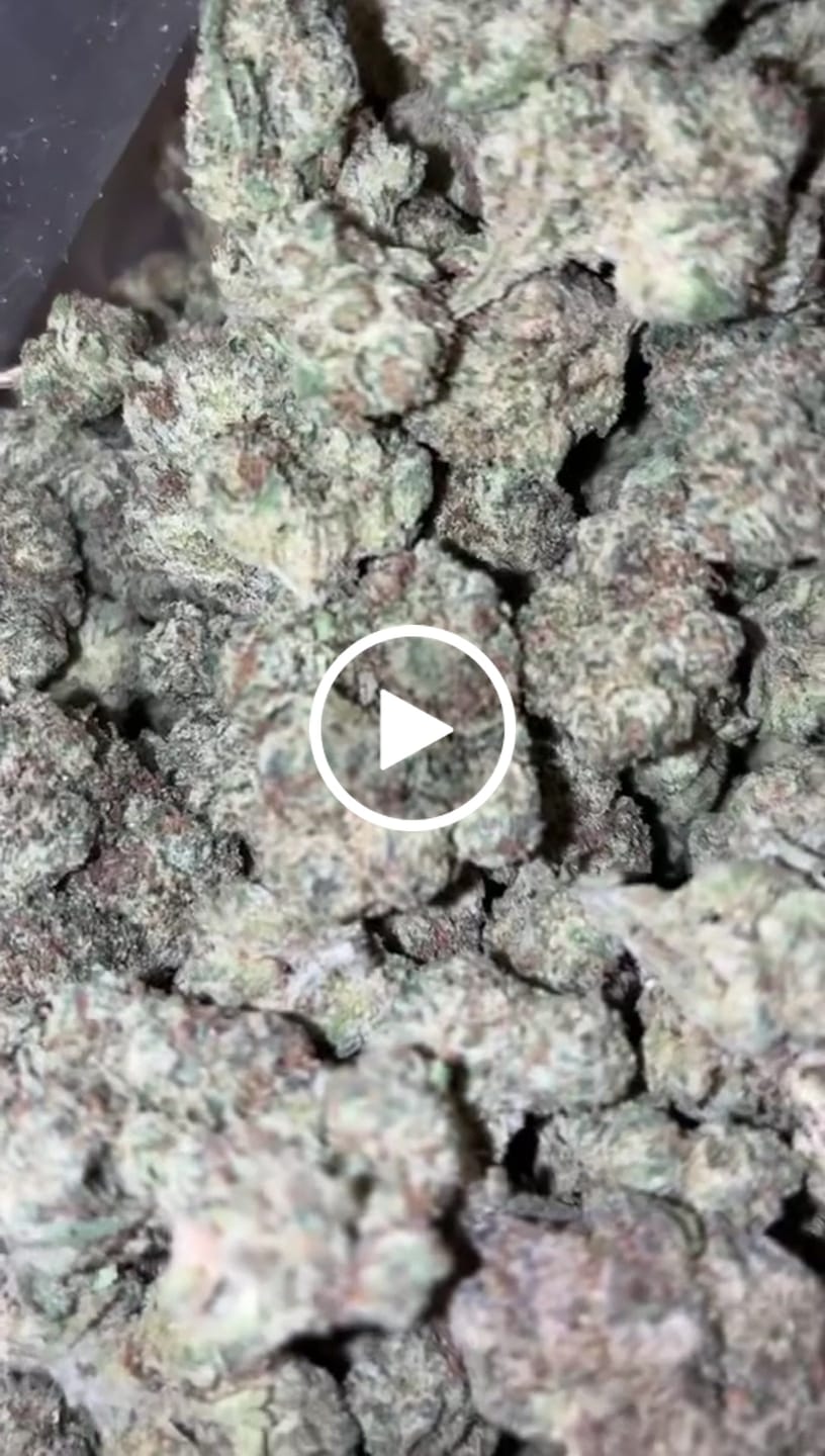 Customer video review of Do Si Dos x Lava Cake Mediums - Bulk Mediums - Indica