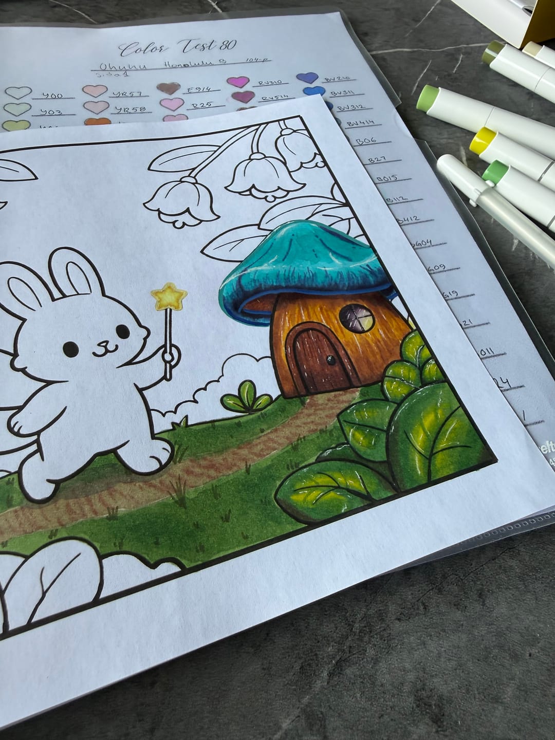 Customer photo review of Ohuhu Honolulu 104 Colors Dual Tips Alcohol Art Markers (New Color Codes)