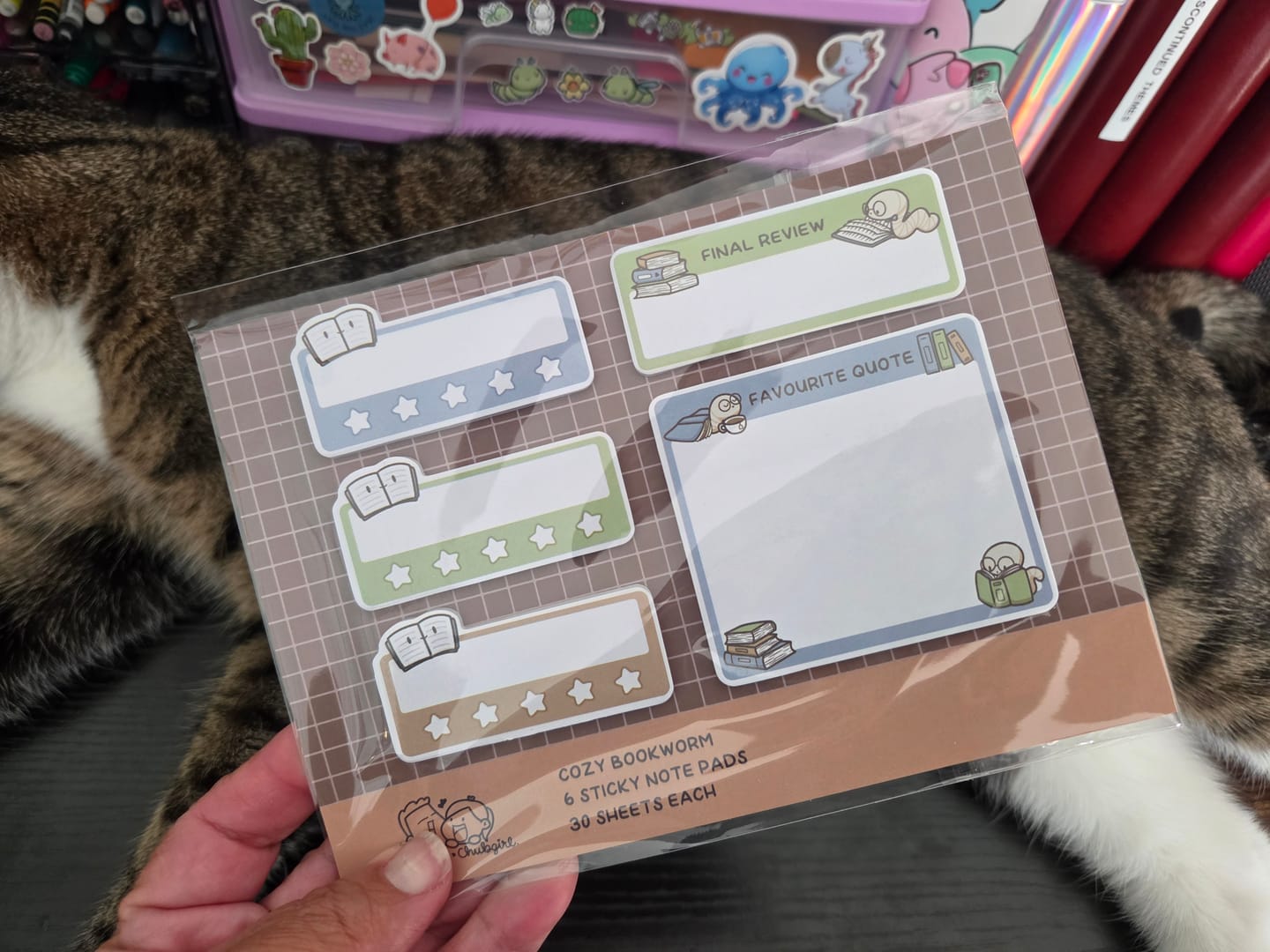 Customer photo review of Freebie: Cozy Bookworm Set