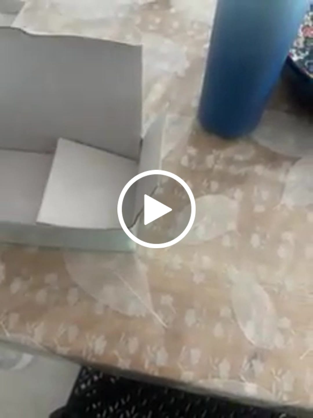 Customer video review of Little Q