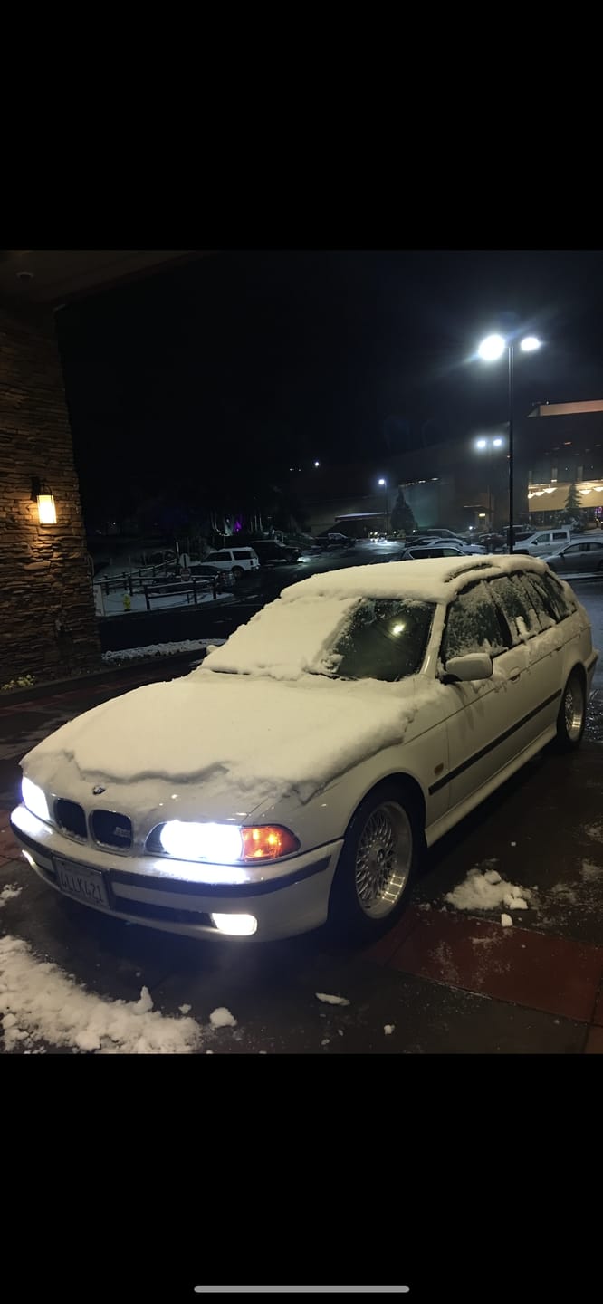 Customer photo review of Carifex 6000K LED Headlights — 3X Brighter Than Halogen