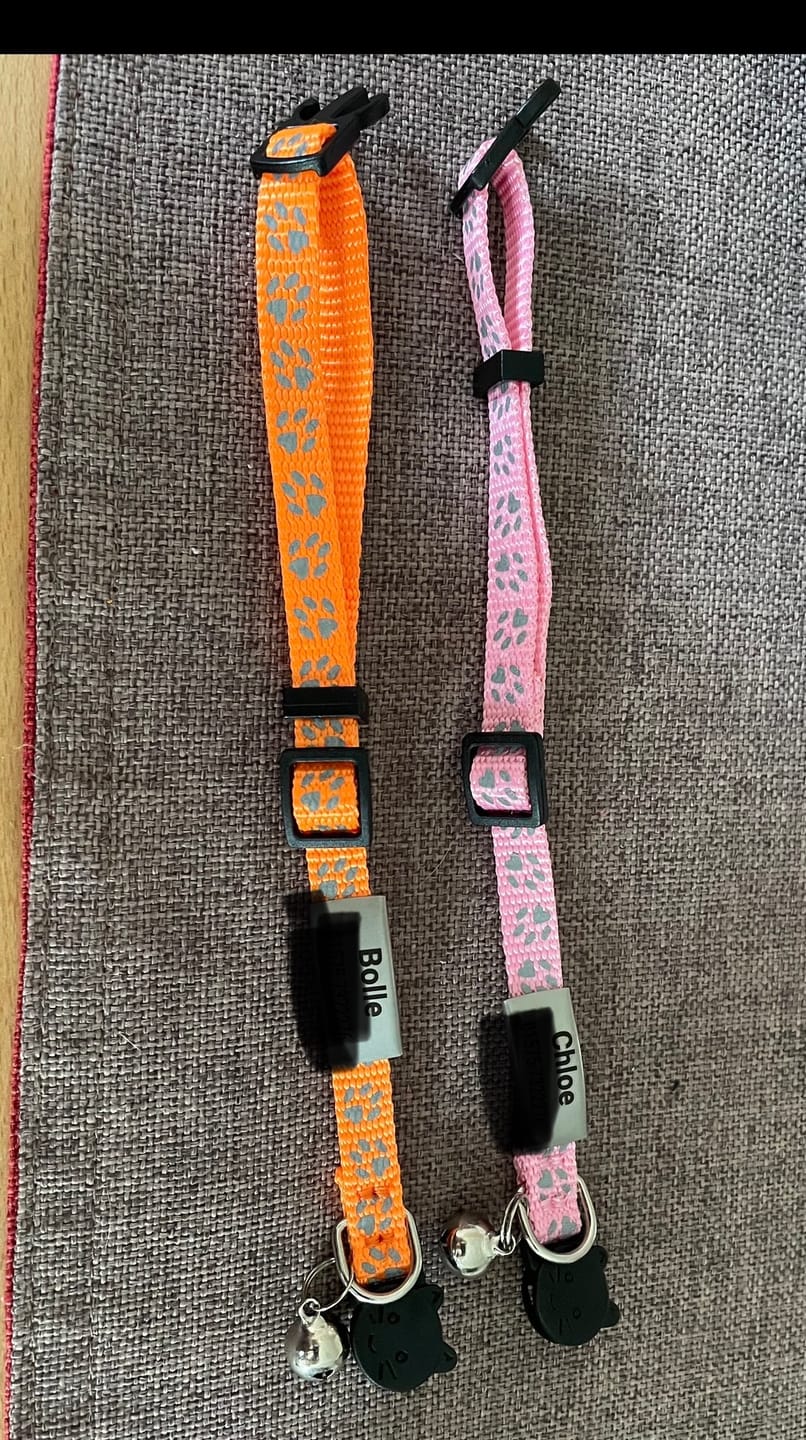 Customer photo review of Katzenhalsband mit Name und Telefonnummer graviert