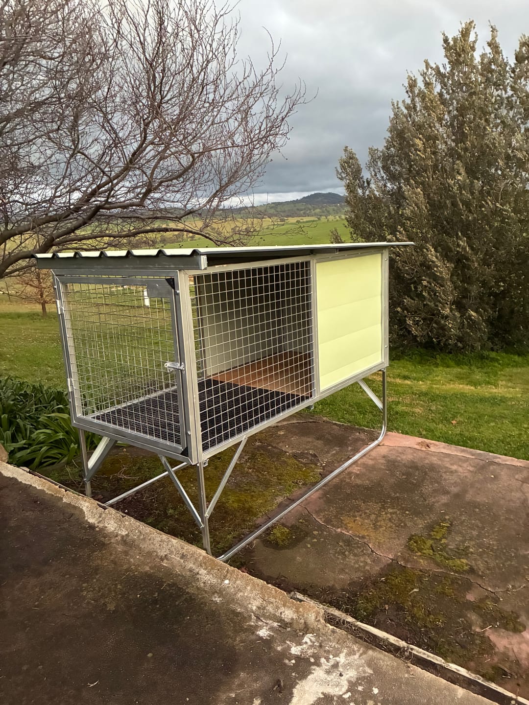 Customer photo review of Raised Safety Kennel