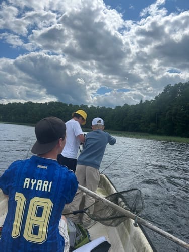 Customer photo review of SWEDEN 2026 AWAY SHIRT