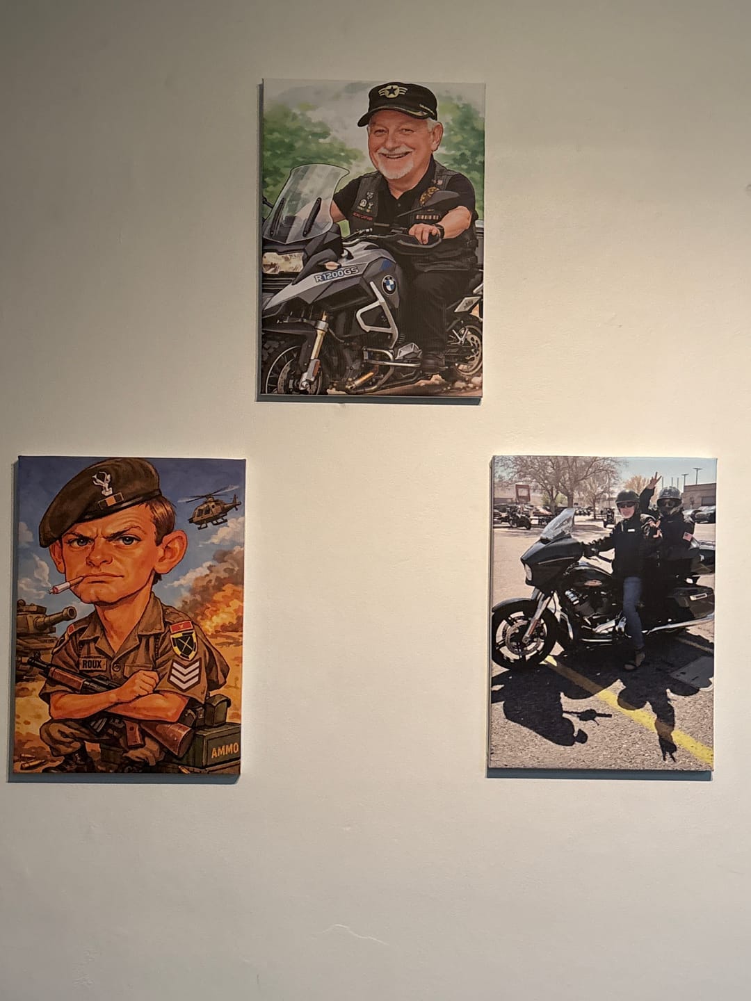 Customer photo review of 3 x A3 Canvas Combo