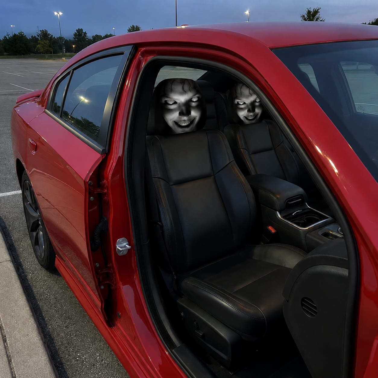 Customer photo review of GrimHead™ Funda Reposacabezas para Coche