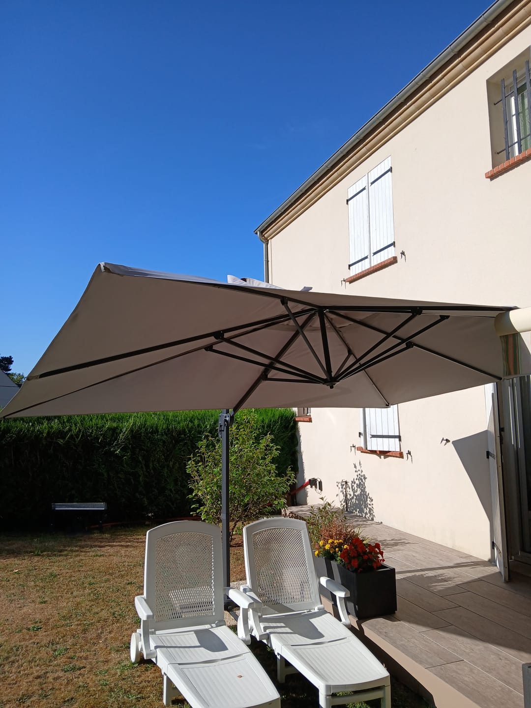 Customer photo review of CESARE