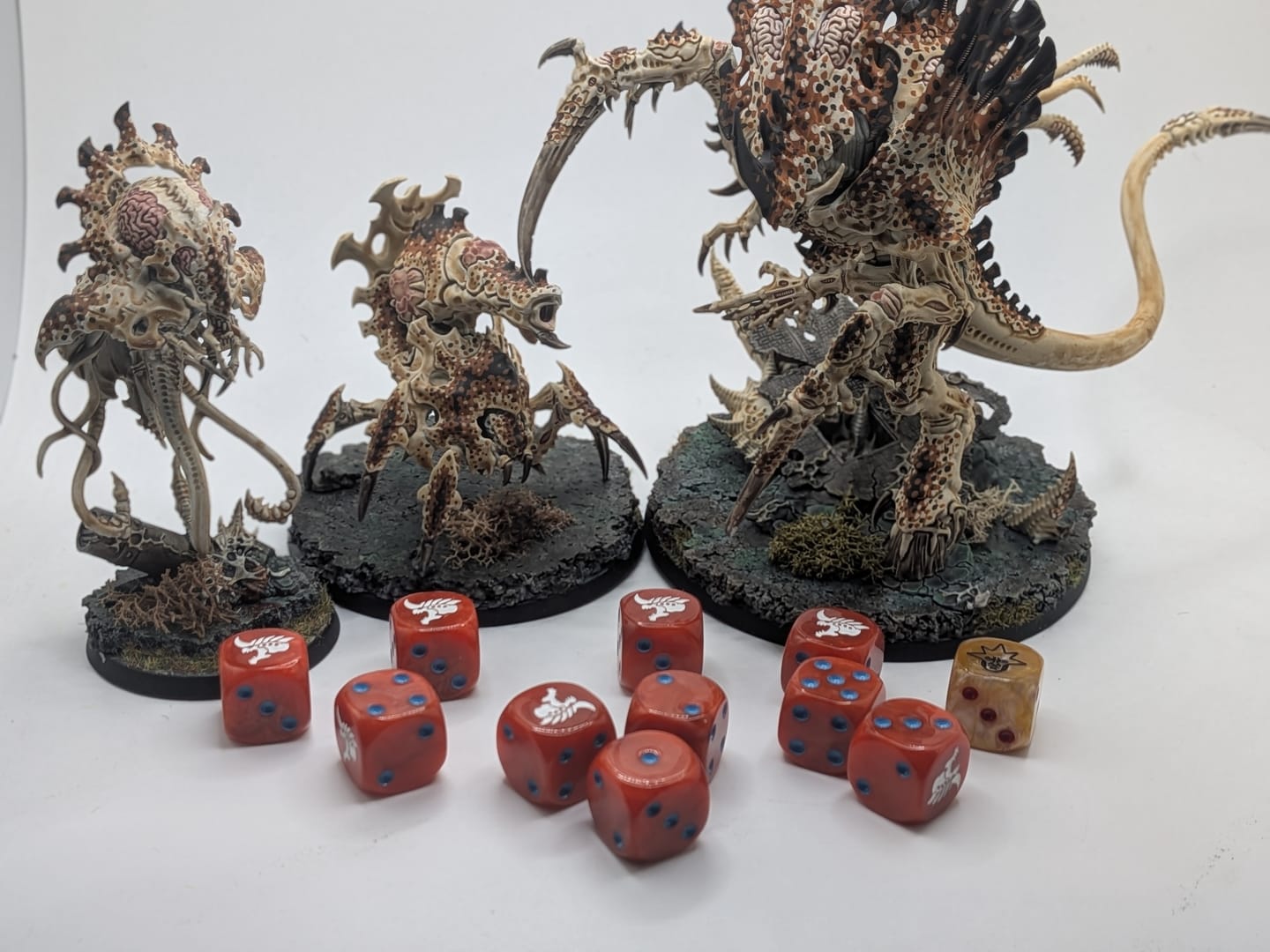 Customer photo review of 𝐁𝐢𝐨𝐡𝐢𝐯𝐞 𝐁𝐞𝐡𝐞𝐦𝐨𝐭𝐡𝐬 𝐃𝐢𝐜𝐞