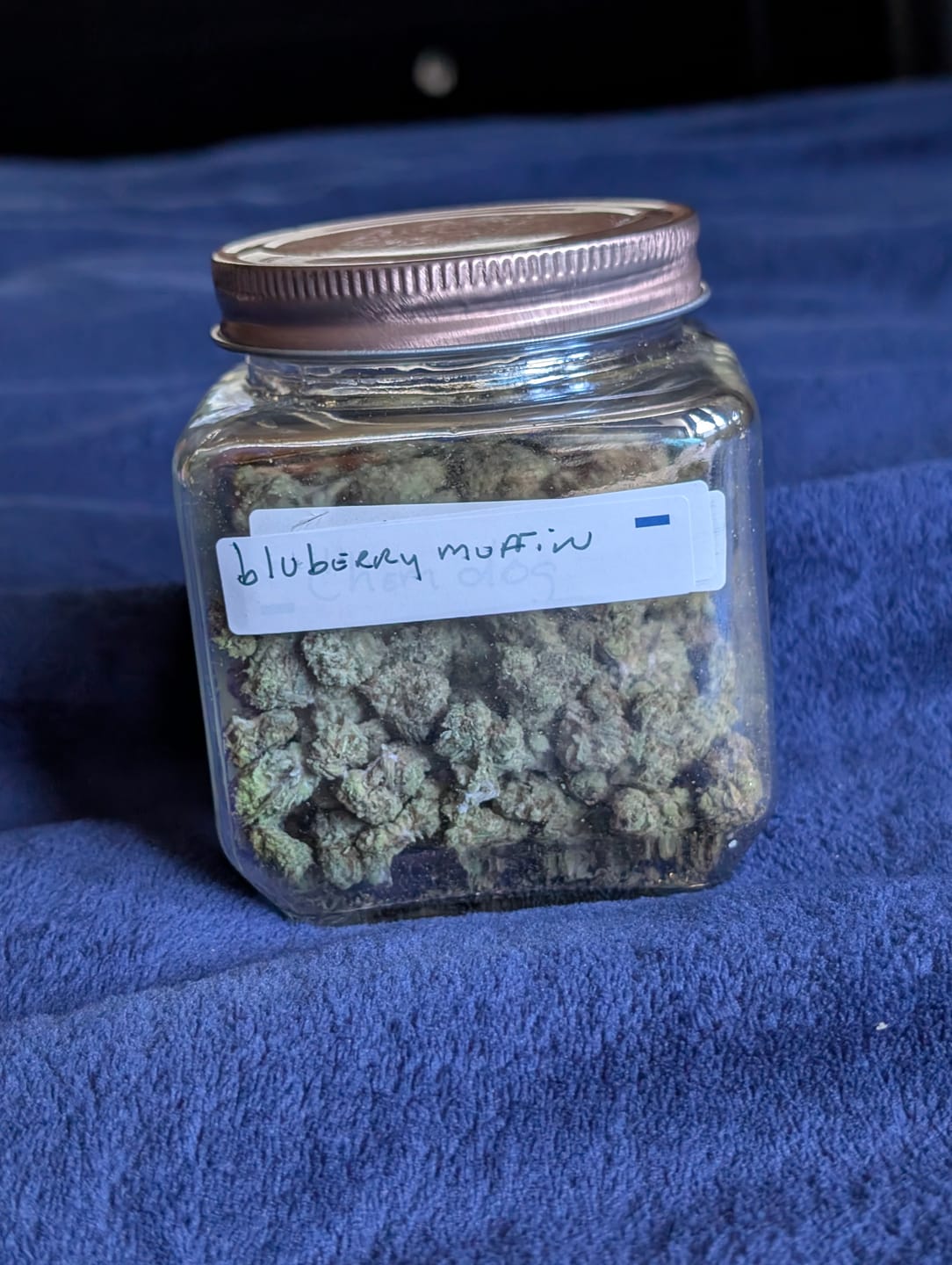 Customer photo review of Blueberry Muffins Minis - Bulk Minis - Indica