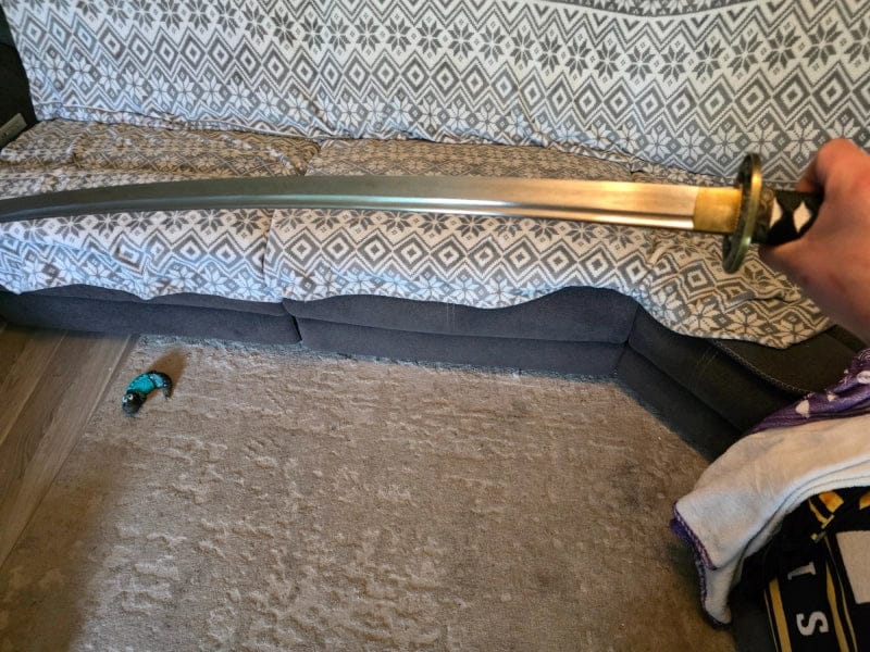 Customer photo review of Dragon's Gaze Katana (Dragon-Engraved Tsuba)