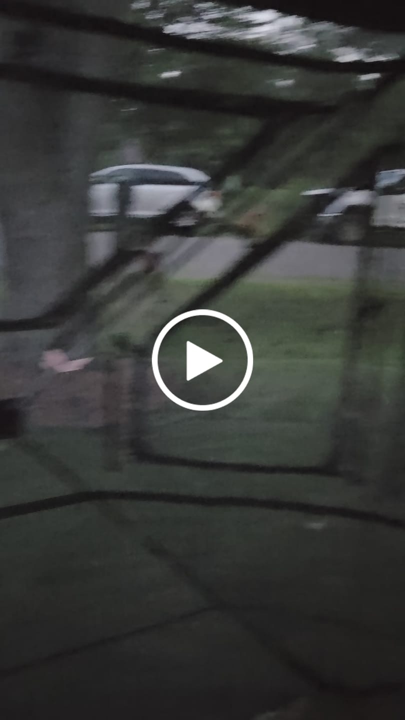 Customer video review of Tidewe Vis360 See-Through Ground Blind for Deer/ Turkey Hunting (3-4 Person)