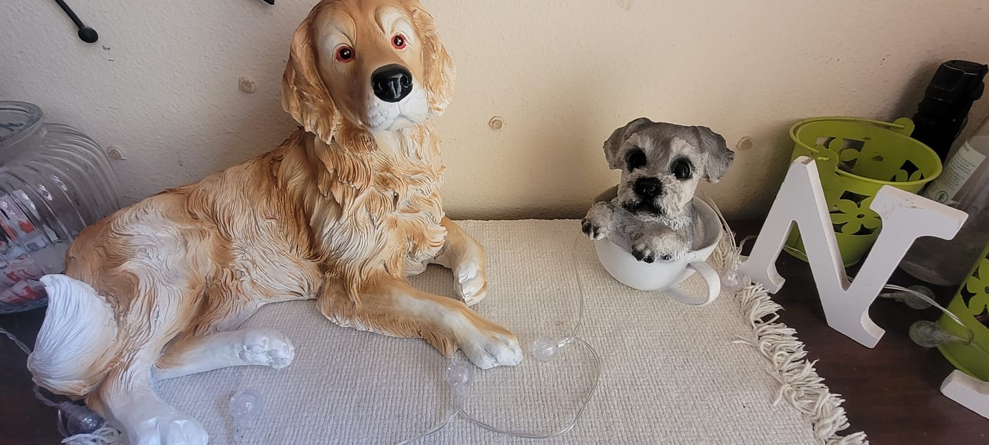 Customer photo review of Perro Golden Acostado