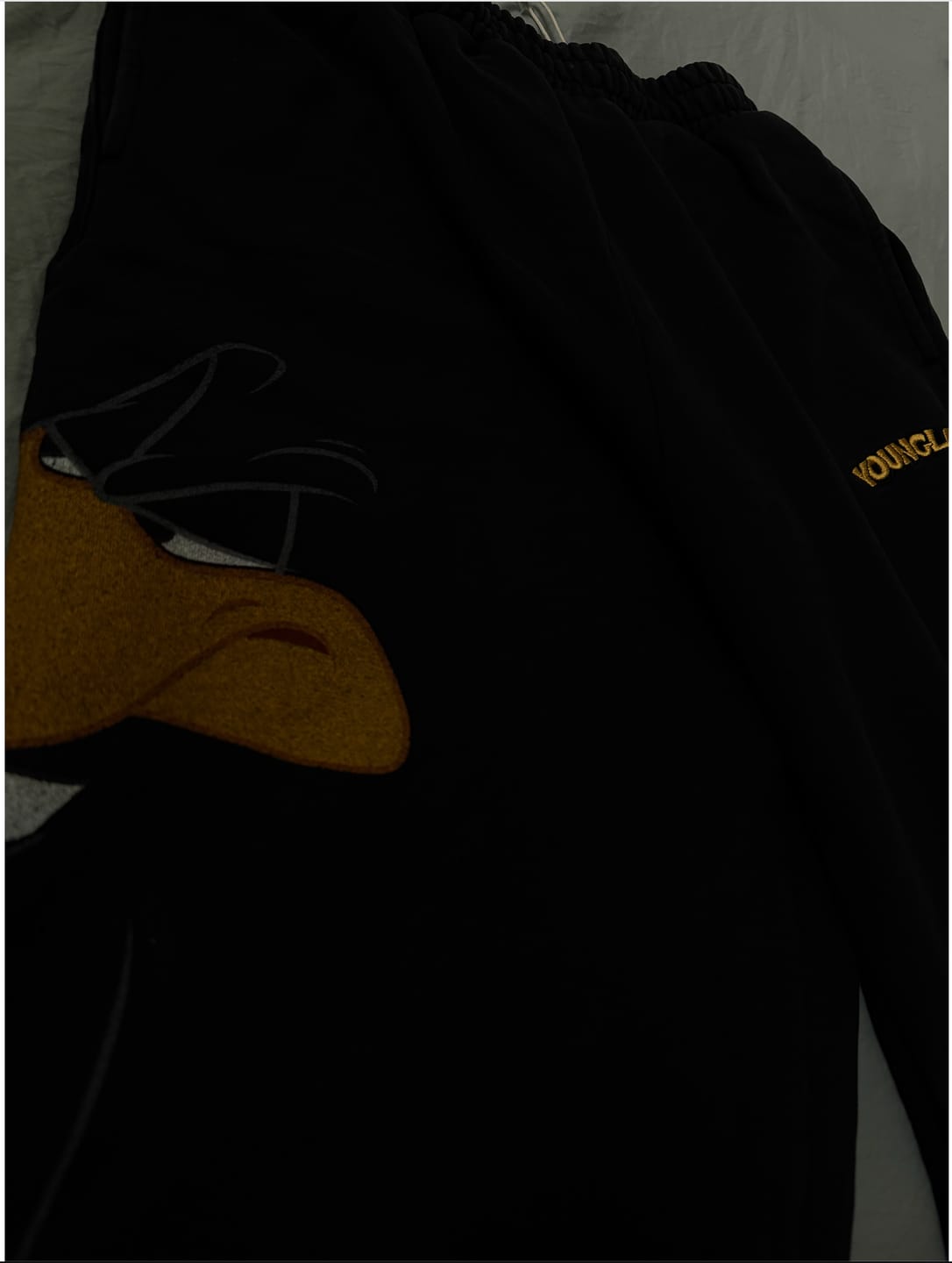 Customer photo review of 2169 - Looney Tunes Character Sweats