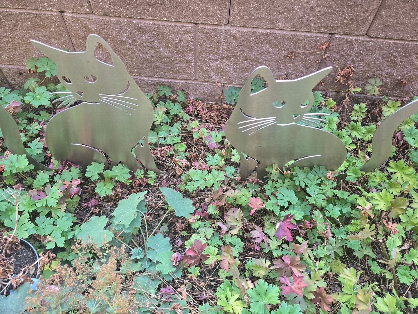 Customer photo review of Gartenstecker Katze sitzend