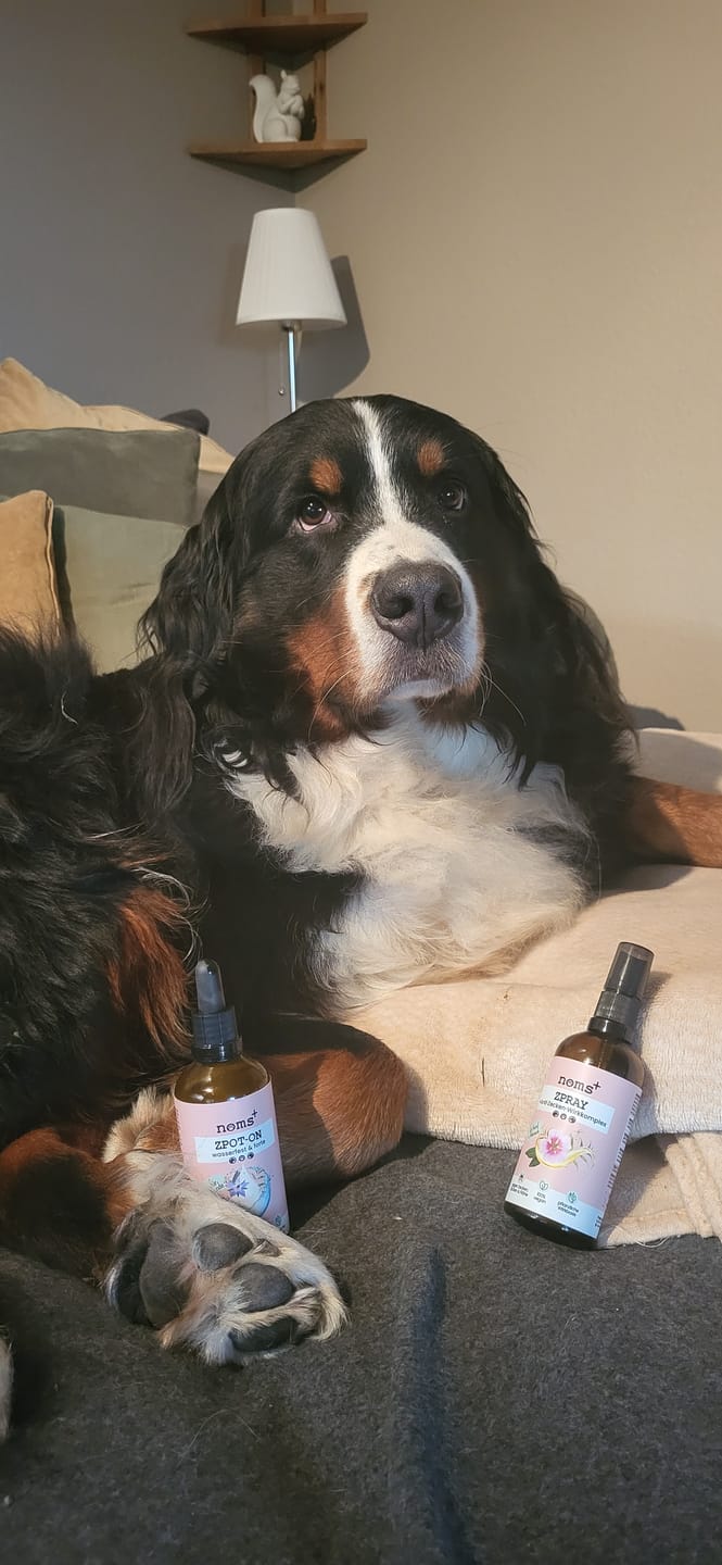 Customer photo review of Zpray für Hunde & Menschen