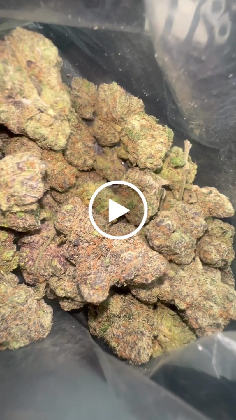 Customer video review of 1 Oz Cheap THCA Small Buds