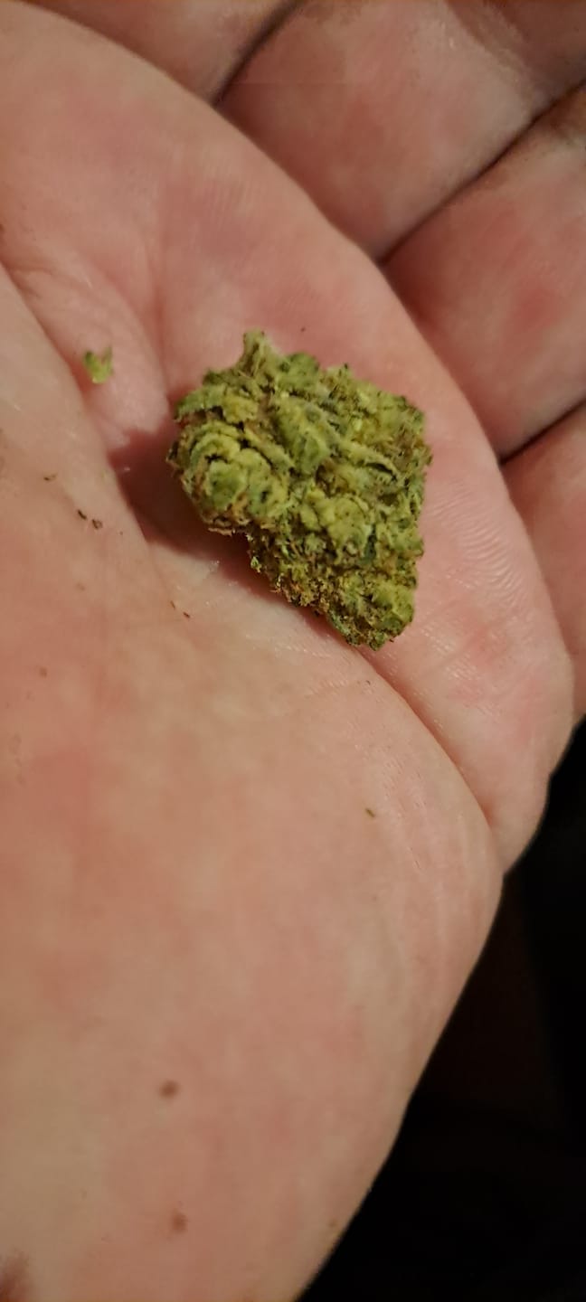 Customer photo review of THC-A Blüten California Love