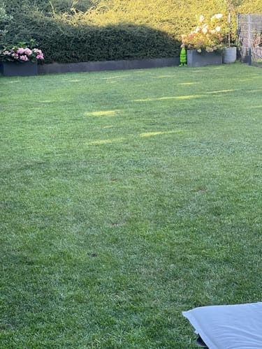 Kunden-Rasen behandelt mit RASENBLITZ™ Sommerdünger, der ein kräftiges, grünes und gepflegtes Erscheinungsbild zeigt.
