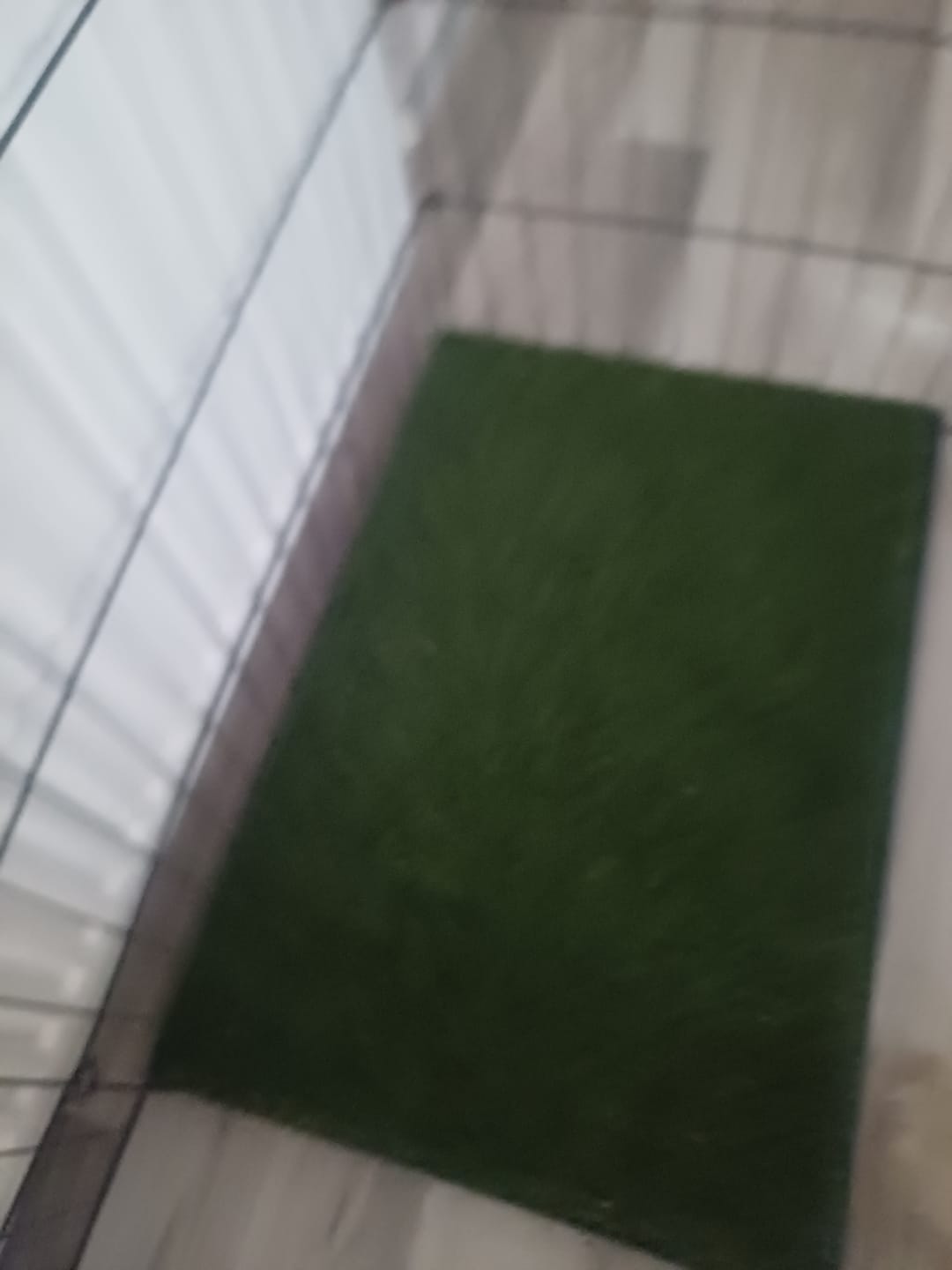 Customer photo review of GreenPee Yıkanabilir Pro Akıllı Çim Tuvalet®