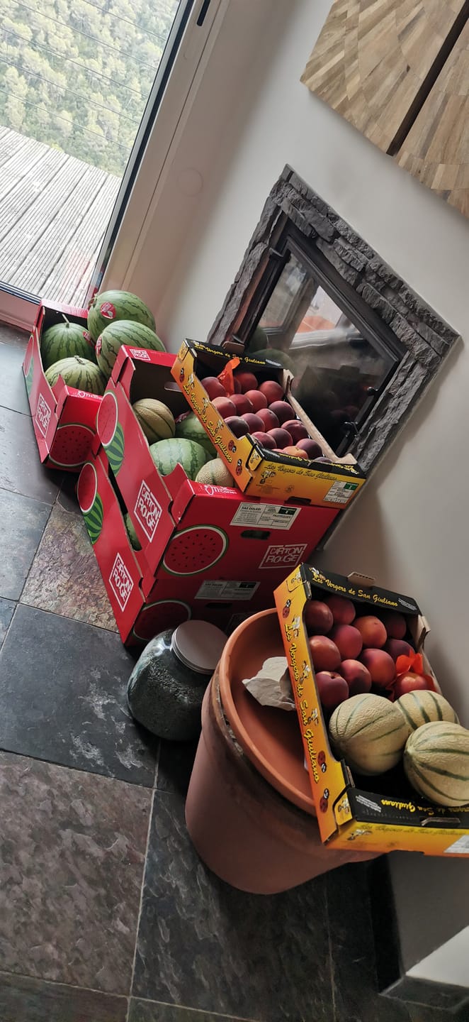 Customer photo review of Melons de Corse - Lot de 3