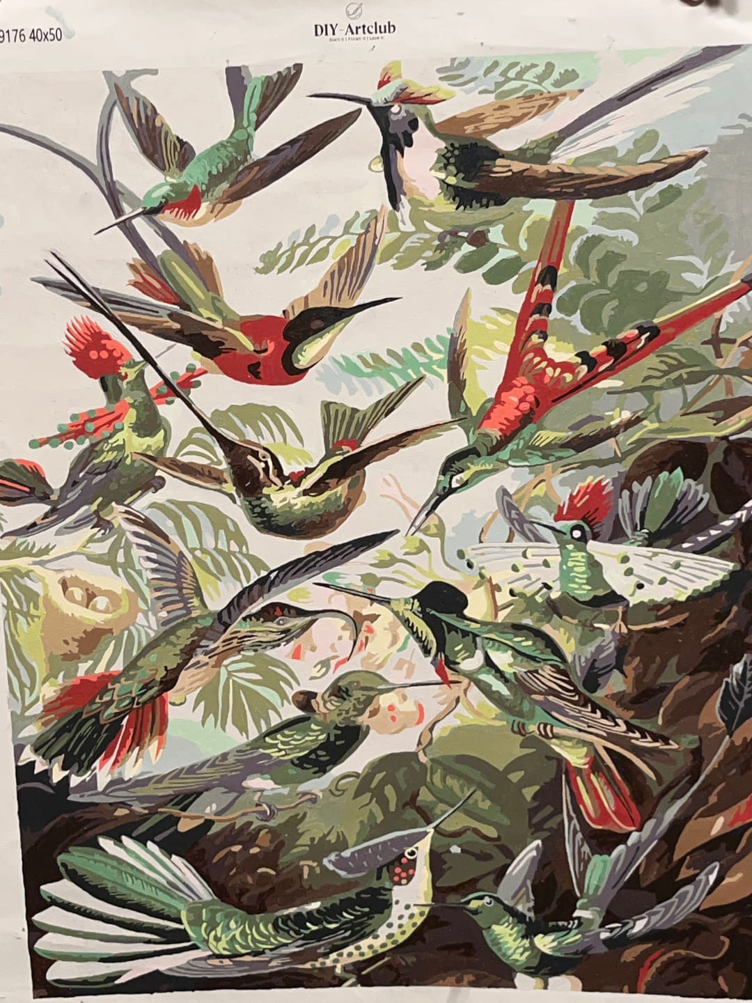 Customer photo review of Hummingbirds Trochilidae by Ernst Haeckel | Paint by Numbers