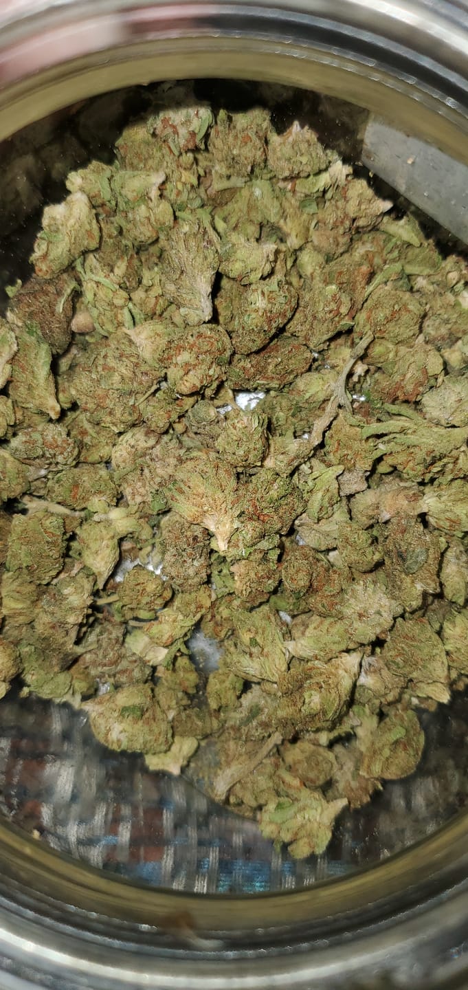 Customer photo review of Raspberry Kush - 28 Grams - Indica
