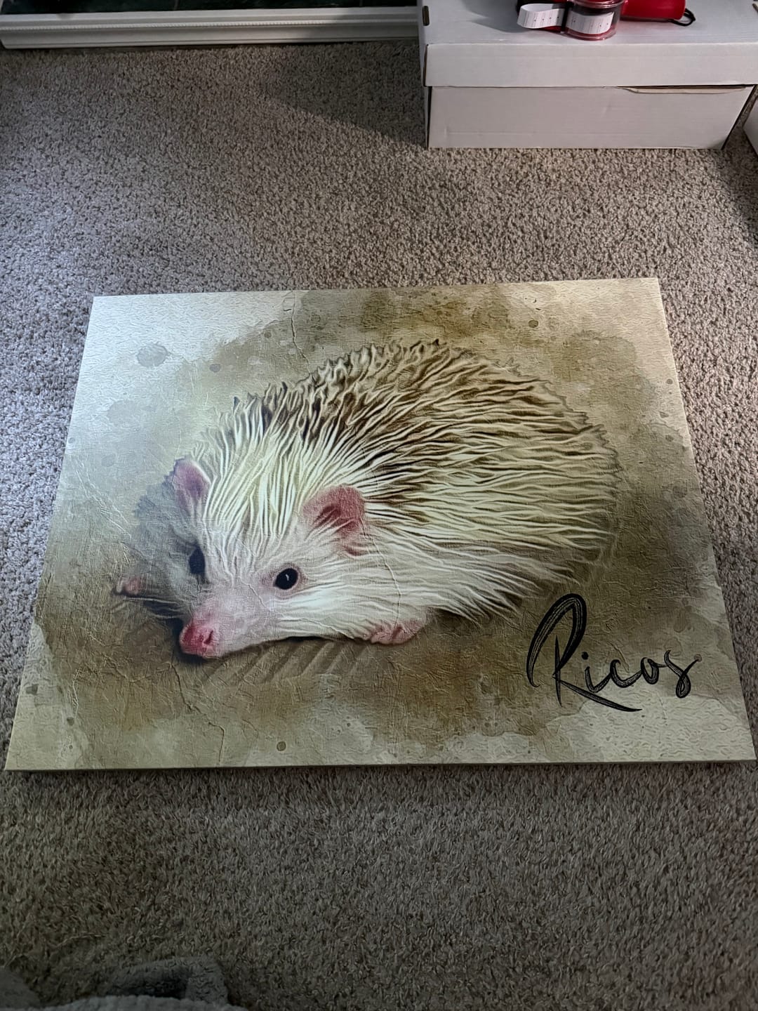 Customer photo review of Personalized Pet portrait